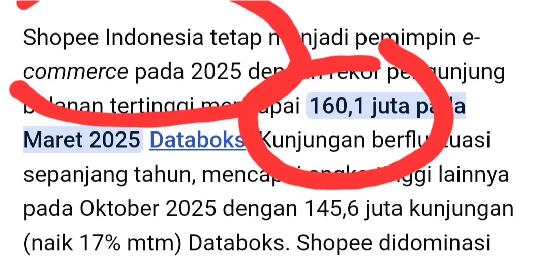 Pengunjung Shopee 2025